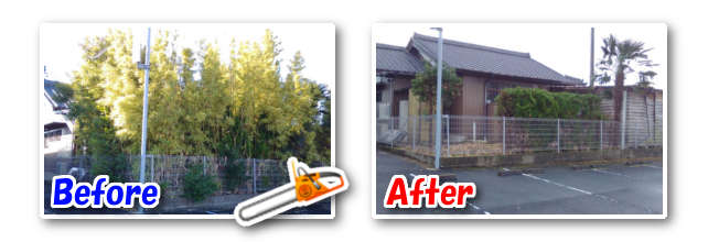 愛知県あま市で庭木の伐採作業