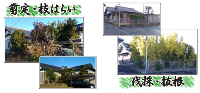 剪定・枝はらい、伐採・抜根